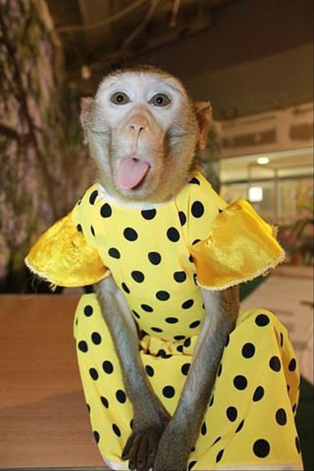 funny pics pictures pic picture image photo images photos lol humor