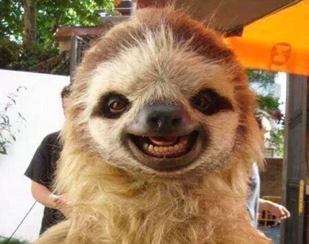 funny pics pictures pic picture image photo images photos lol humor