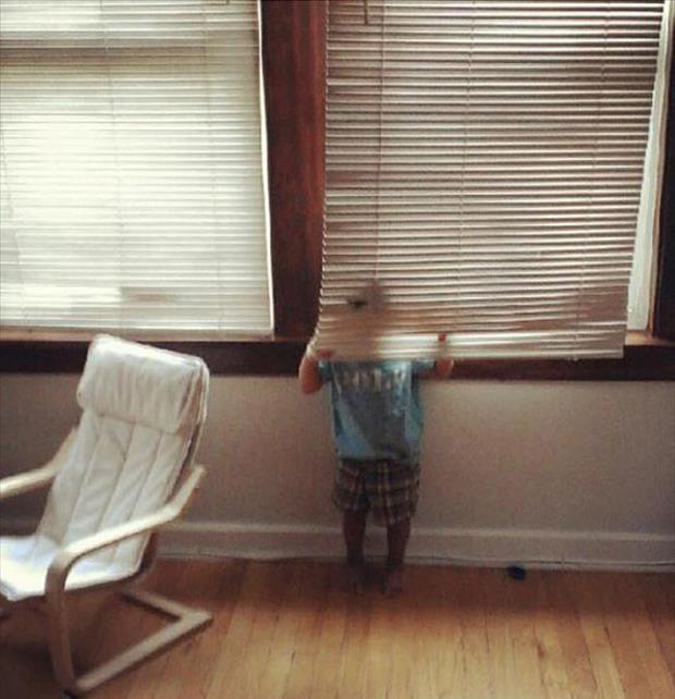 funny pics pictures pic picture image photo images photos lol humor