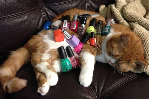 funny pics pictures pic picture image photo images photos lol humor
