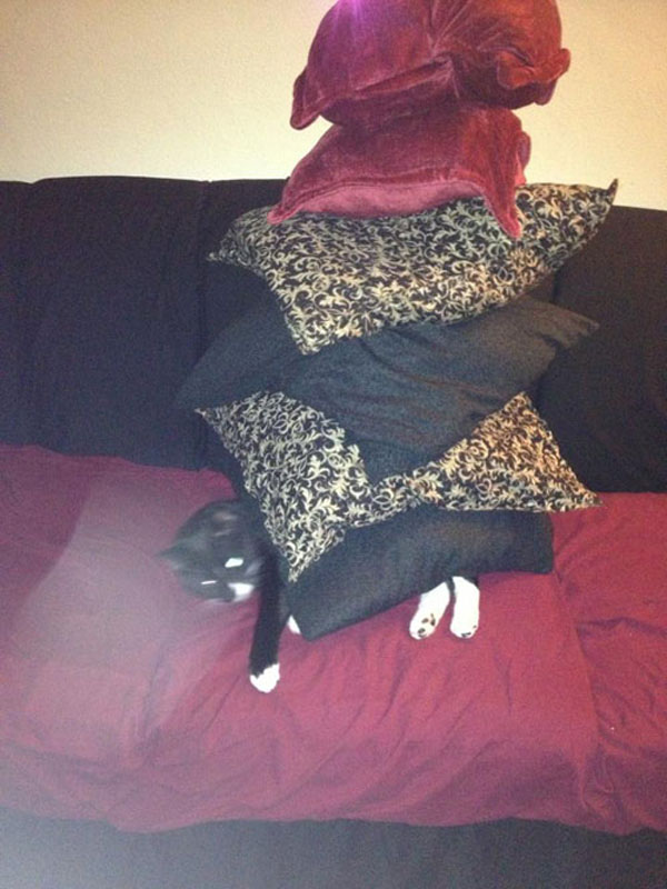 funny pics pictures pic picture image photo images photos lol humor