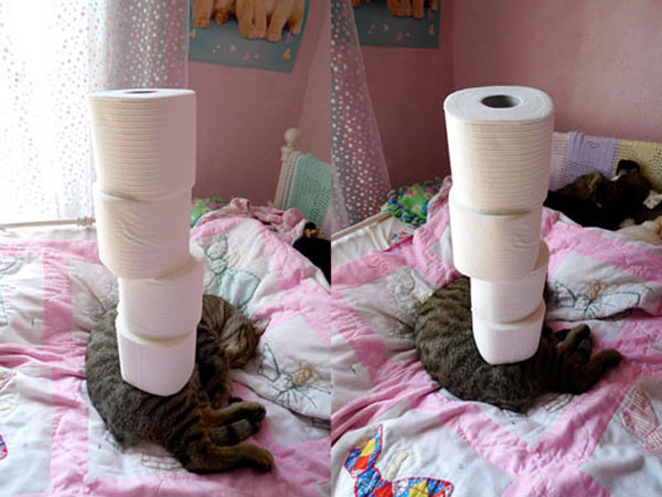 funny pics pictures pic picture image photo images photos lol humor