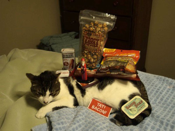 funny pics pictures pic picture image photo images photos lol humor