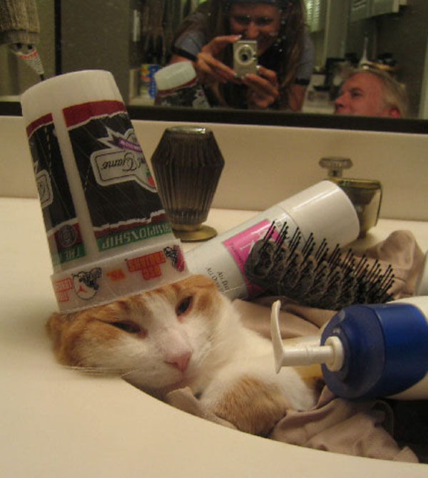 funny pics pictures pic picture image photo images photos lol humor