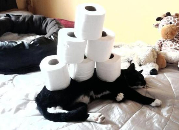 funny pics pictures pic picture image photo images photos lol humor