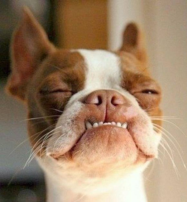 funny pics pictures pic picture image photo images photos lol humor