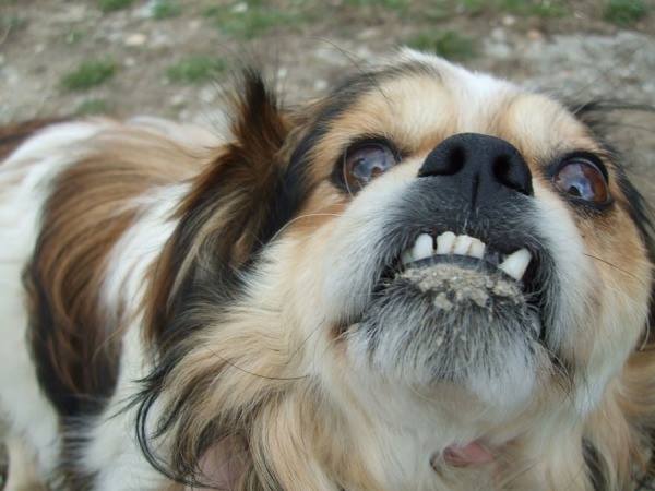 funny pics pictures pic picture image photo images photos lol humor