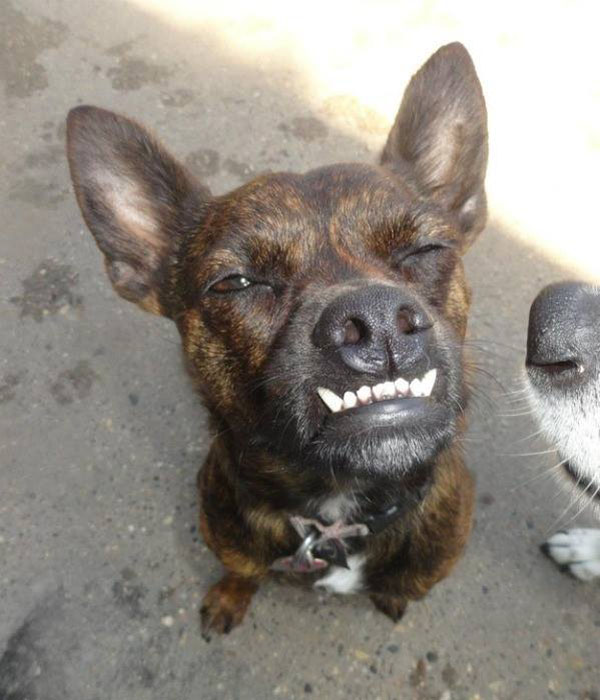 funny pics pictures pic picture image photo images photos lol humor