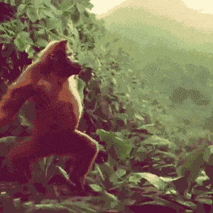 funny-pictures-dancing-orangutang-monkey