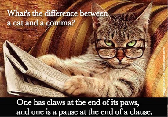 funny-pictures-difference-between-cat-co