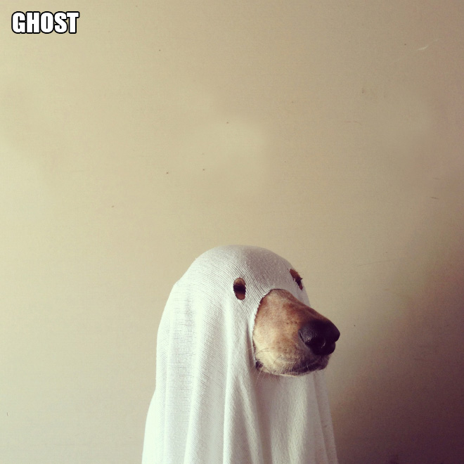 funny pics pictures pic picture image photo images photos lol humor
