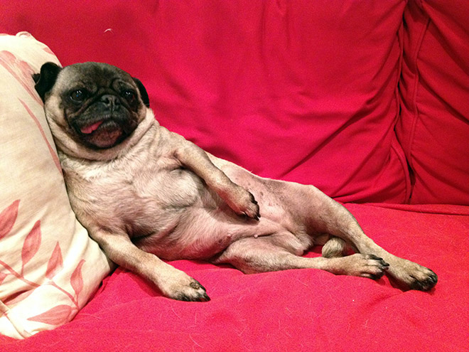funny pics pictures pic picture image photo images photos lol humor