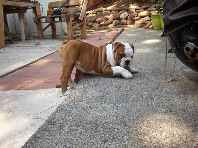 funny pics pictures pic picture image photo images photos lol humor