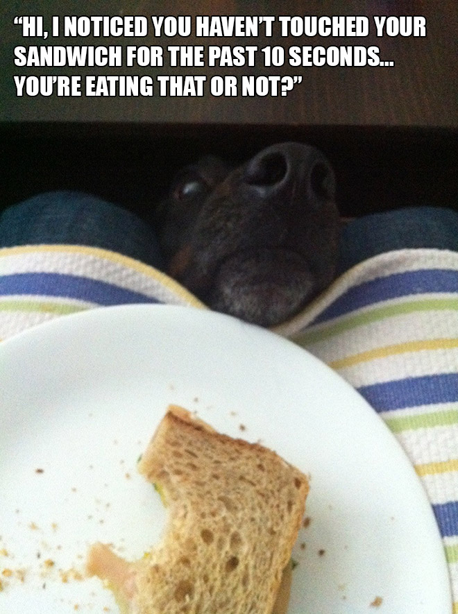 funny pics pictures pic picture image photo images photos lol humor