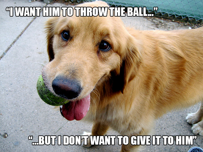 funny pics pictures pic picture image photo images photos lol humor