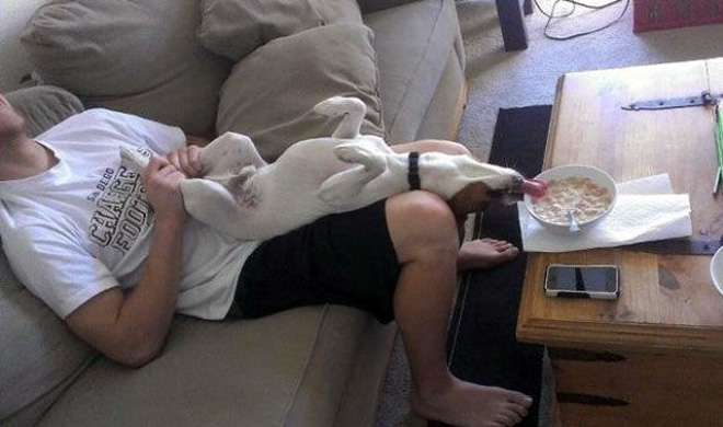 funny pics pictures pic picture image photo images photos lol humor