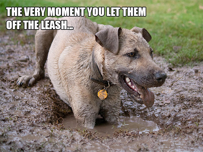 funny pics pictures pic picture image photo images photos lol humor