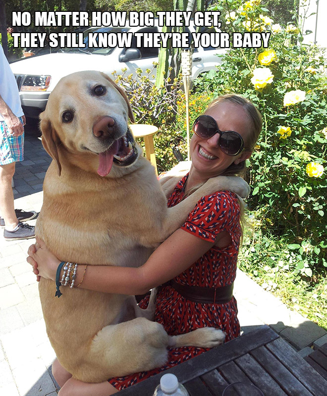 funny pics pictures pic picture image photo images photos lol humor