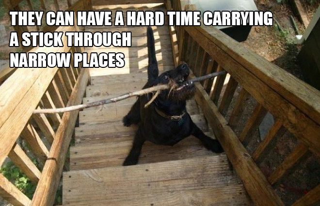 funny pics pictures pic picture image photo images photos lol humor