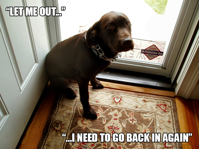 funny pics pictures pic picture image photo images photos lol humor