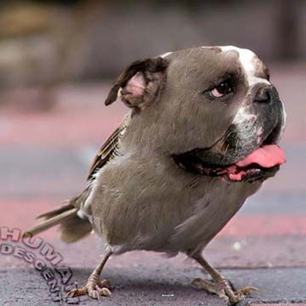 funny pics pictures pic picture image photo images photos lol humor