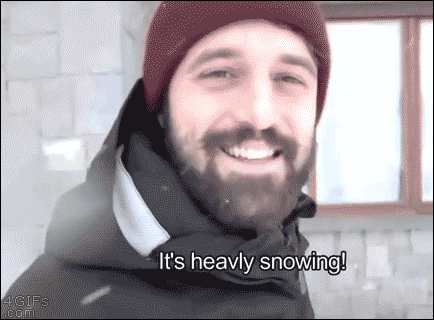 funny-pictures-dog-stuck-heavy-snow-animated-gif.gif