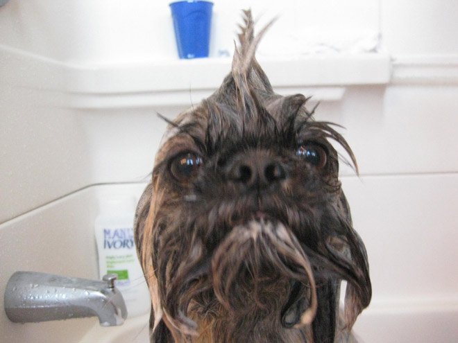 funny pics pictures pic picture image photo images photos lol humor