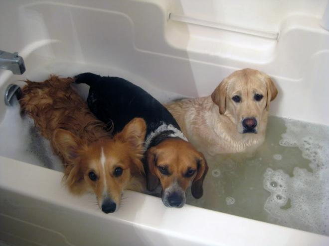 funny pics pictures pic picture image photo images photos lol humor