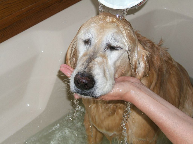 funny pics pictures pic picture image photo images photos lol humor