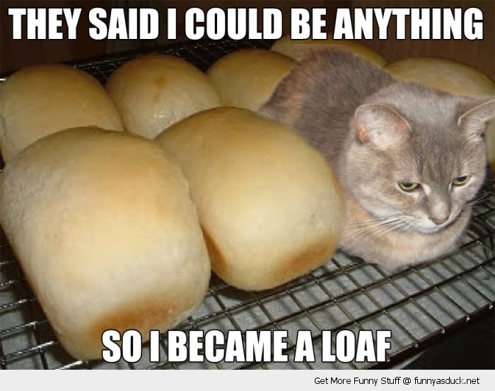 I Became A Loaf