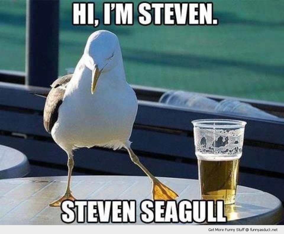 Steven Seagull