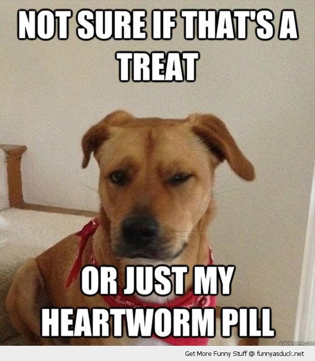 Not Sure If Treat...