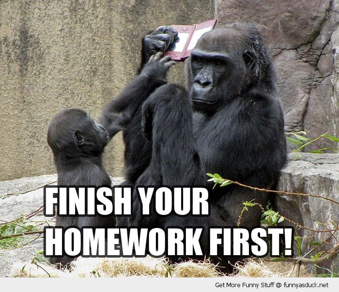 Homework First!