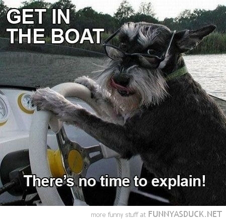 Get In The Boat | Funny As Duck | Funny Pictures