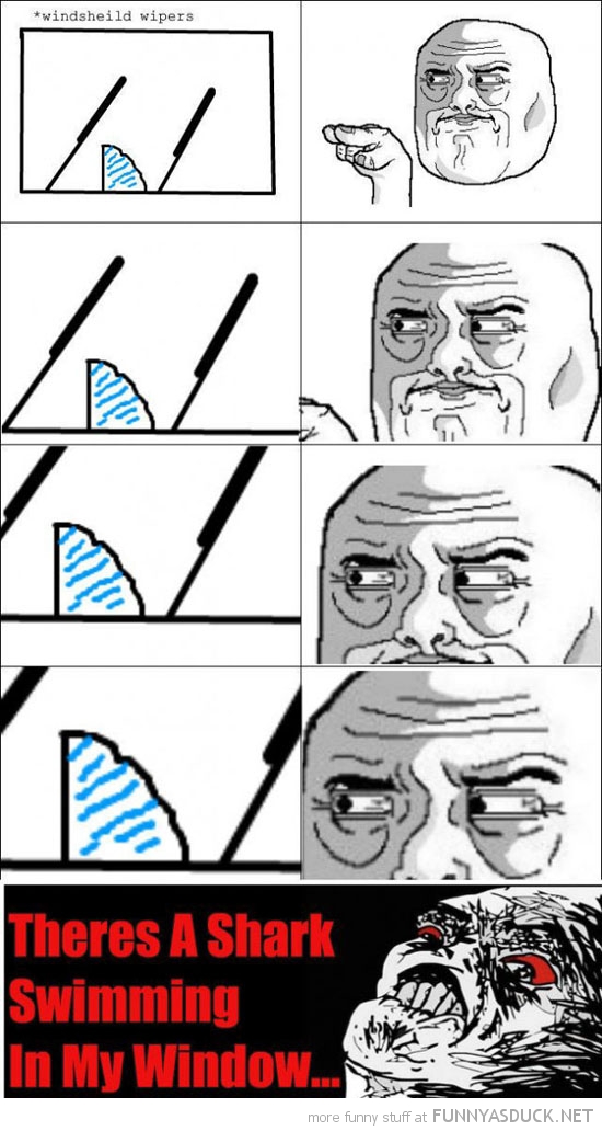 Wipers Rage