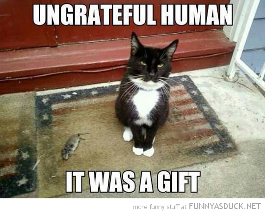 Ungrateful Human