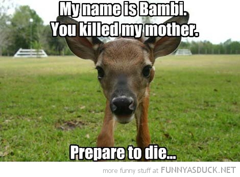 My Name Is Bambi