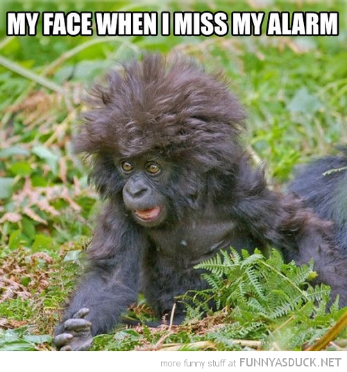 When I Miss My Alarm