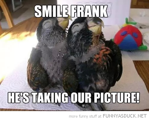 Smile Frank
