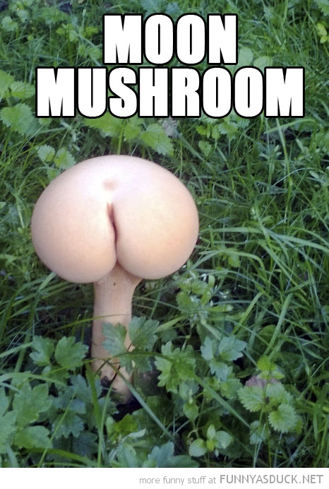 Moon Mushroom