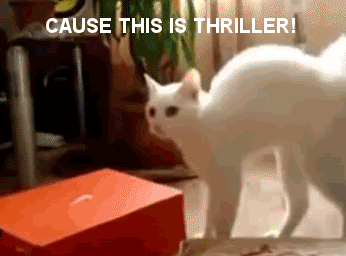 Thriller Cat