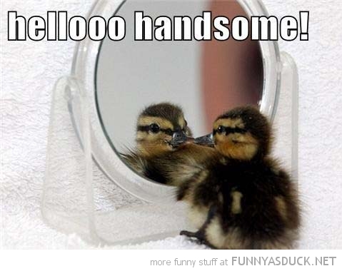 Hello Handsome | Funny As Duck