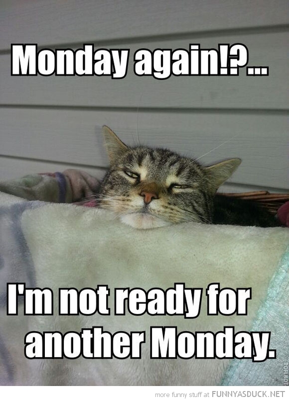 Monday Again?