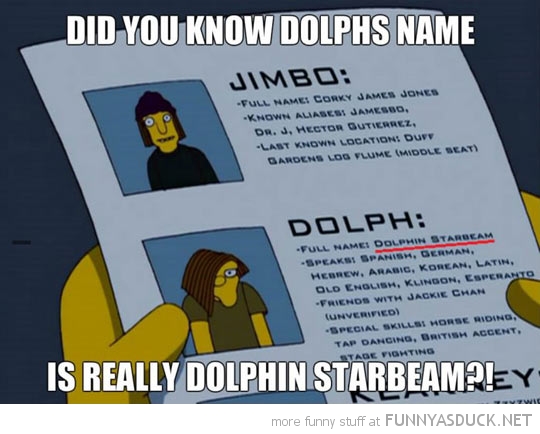 Dolphin Starbeam