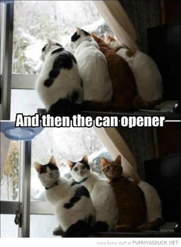 The Can Opener