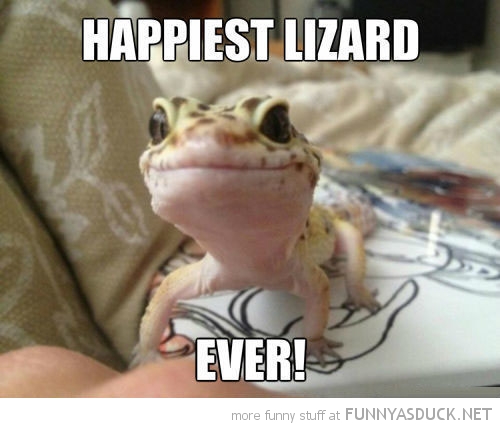 Happiest Lizard Ever