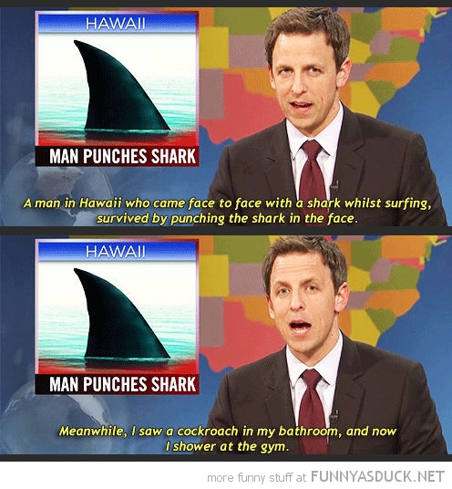 Man Punches Shark