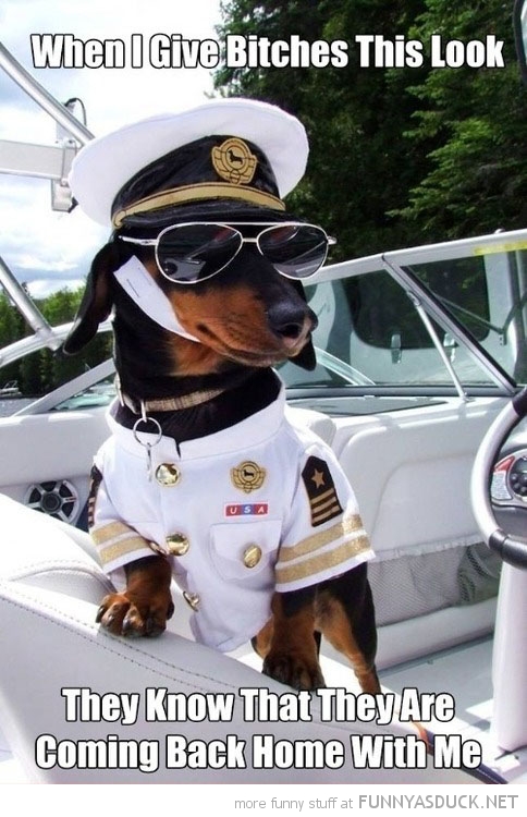 Boat Captain Dog
