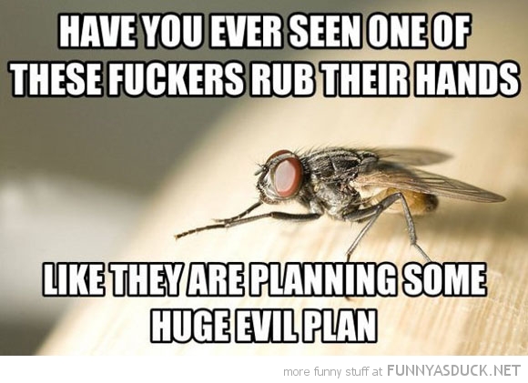 Evil Plan at FunnyAsDuck - home of all the funniest Memes and Gifs on the i...