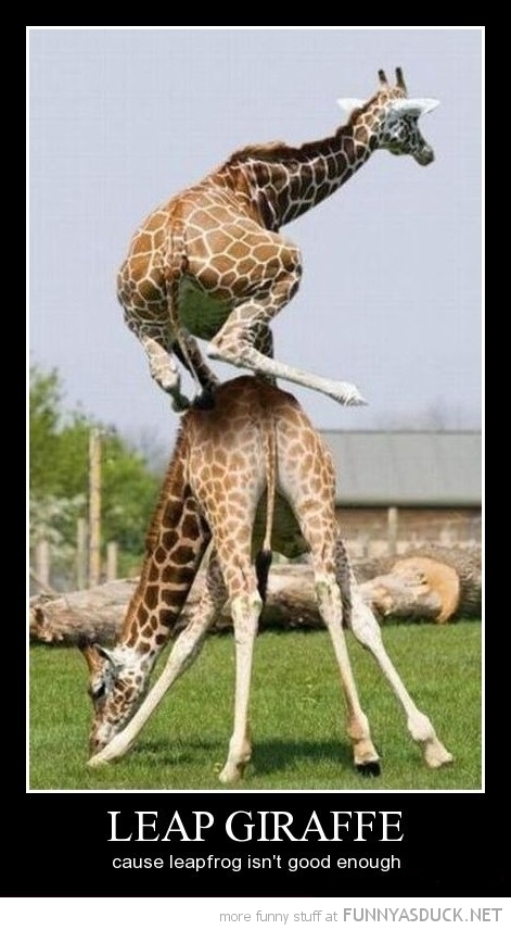 Leap Giraffe